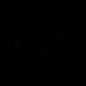 Meet your Posher, Rodrigo